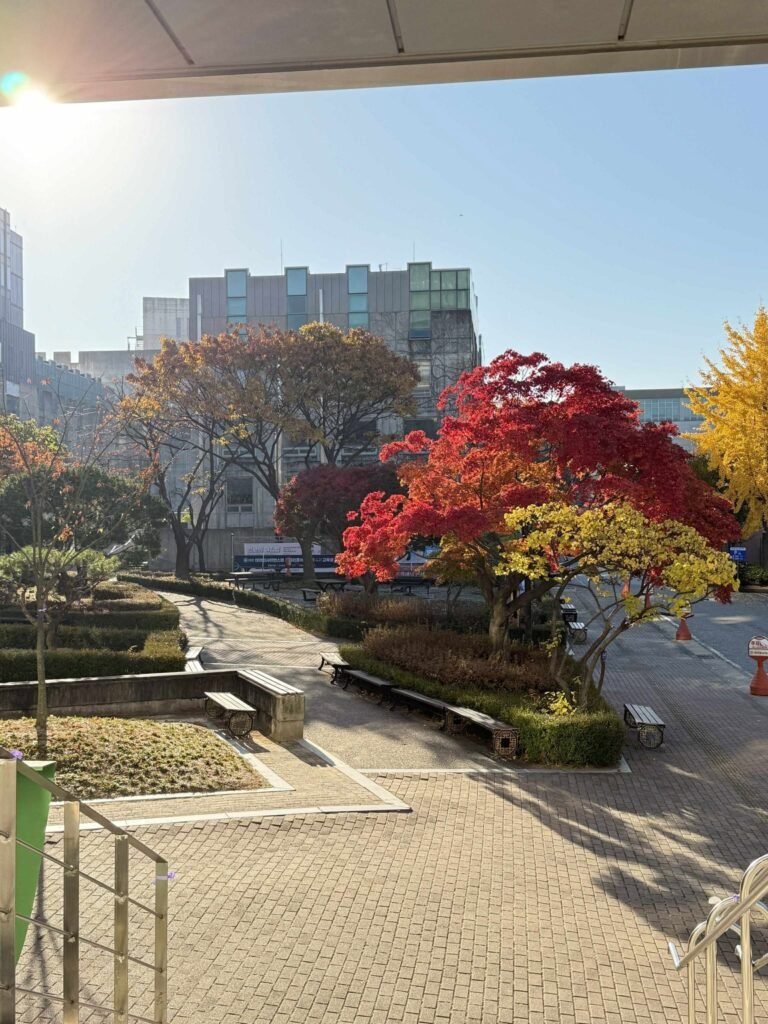 581804421_1731284067539831_7315618462335153861_n